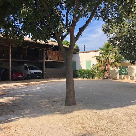Mas de Plisset Saint-Gilles (Gard) Exterior foto